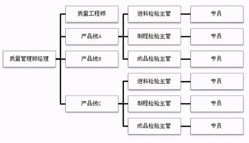 超棒企業質量組織架構圖，員工如何定位自己的位置